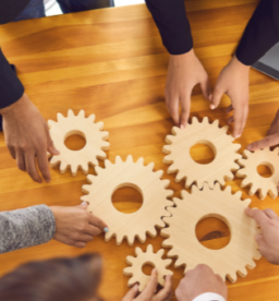 Salesforce Implimenatation Strategy